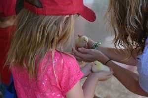 How to change an already established community service project into service learning