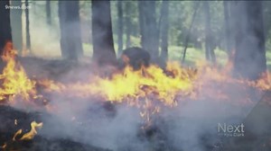 Over the last decade, wildfire has been the most destructive extreme weather in Colorado