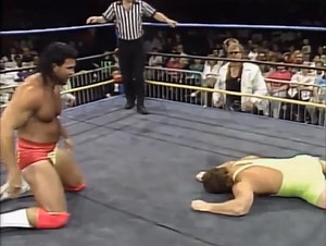 The Diamond Studd | WOHW Publishers