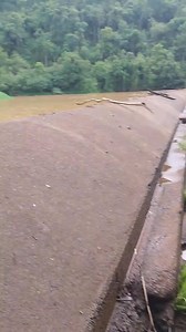 Amigo Joy | Garotos do Fandango