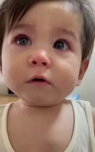 79K views · 3.8K reactions | You can't ignore their cuteness ❤️ | 햠햾헌헍헁햾헍헂햼 Mood | Facebook