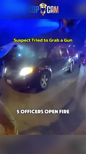 A Helicopter Tracked the Stolen Car — Then He Locked Himself In