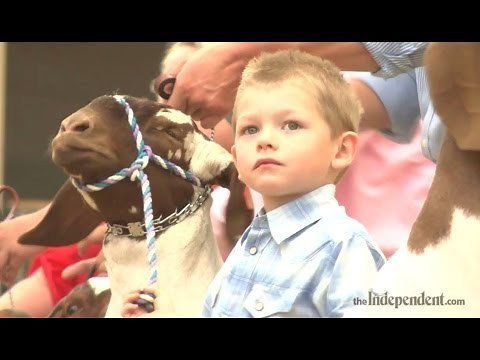 American Boer Goat Association National Show at Fonner Park