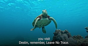 With the warmer weather, we have increased activity on our beaches. Please, enjoy and "Leave No Trace". Leave No Trace principles are based on an abiding respect and love for our natural world. | City of Destin Government