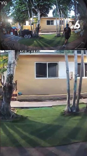 Man seen peeping through window, touching himself