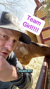 83K views · 1.5K reactions | We are in full team girl mode over here! We are still waiting for Cranberry to have her baby #goat kid. All hopeful eye are on you Cranberry.  #farmanimals #farmlife #ranch | Hot Mess Ranch | Facebook