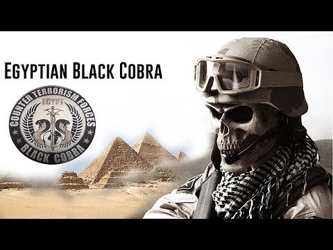 Black Cobra / Egyptian Special Forces