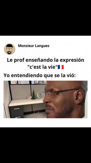 . . . . . . . . . . . . . #apprendrelefrançais #FLE #languefrançaise #français #parlerfrançais #French #LearnFrench #FrenchVocabulary #FrenchLanguage #IloveFrench #francés #francesonline #aprenderfrances #cursodefrances #france #paris #language | Monsieur Langues