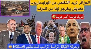 نايضة🚨الجزائر نريد التخلص من البوليساريو..وحلات فينا وإحتلو تندوف😱لمروك هزمنا/والقبائل تستعطف ترامب | Maroc Press Shop
