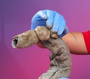 DIY Cement Projects for a Trendy Home | 5-Minute Crafts House | Facebook