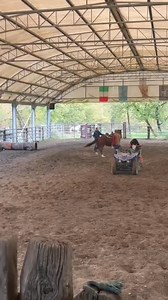 18 reactions · 3 comments | Non deve saltare, ma imparare a gestire gli spazi. Andrea e la puledra Paint. #ranchlife #addestramentocavalli #painthorse #horsemanship | Sabri Cri Lamberti | Facebook