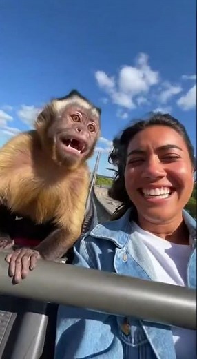 Scared Monkey on a Roller Coaster with a Woman 😱🐒🎢