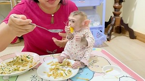 5.4K views · 249 reactions | Baby DAM Super Foodie Yummy Eating Noodle Alike Human | Pigtail Monkey Daily | Facebook