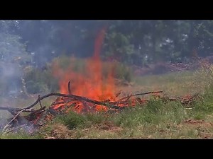 Brown issues emergency declaration for wildfire threat