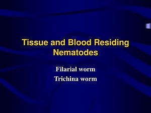 Tissue and Blood Residing Nematodes - SlideServe