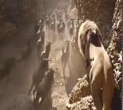 17K views · 117 reactions | Top movie on Netflix 2023 | Greg Blake & Hometown | Facebook