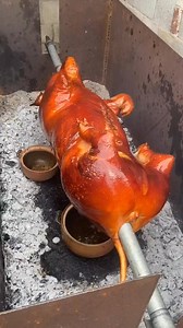 lechon #cooking # #fyp #mukbang #reels # #viral # #StarsEverywhere #trending # #food #foryou | Infographics
