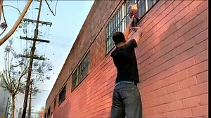 6.6K views · 195 reactions | A throwback commercial I did! #PoochHall | Pooch Hall | Facebook