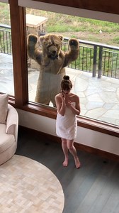 Her towel fell off when she saw! In a playful attempt to surprise his wife, a gentleman decides to don a bear costume and play a prank on her. With mischievous intentions, he carefully selects the bear outfit, ensuring it looks as realistic as possible. As he transforms into the furry creature, he can't help but feel a sense of excitement and anticipation. With a mischievous grin on his face, he waits for the perfect moment to reveal his playful disguise to his unsuspecting wife, eager to witnes