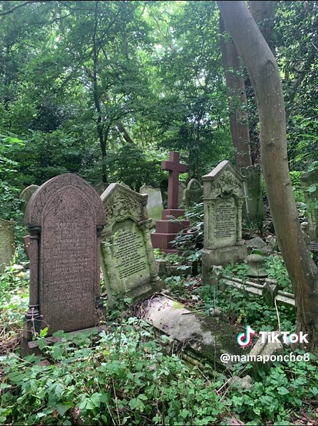 Mamaponcho on TikTok