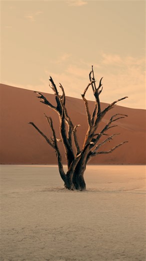 Discover the hidden power of the FX mic positions in Ancient Kingdom as we score a sci-fi soundtrack straight out of the Dune film franchise. In this new video, we'll show you how these cinematic mic mixes can instantly transform your compositions with epic depth, scale, and atmosphere. Logic Pro users, you can also download the Logic template in the video description so you can explore these Ancient Kingdom instruments FX mics for yourself. Watch the full video now: https://youtu.be/Rnp9yt6_9l8