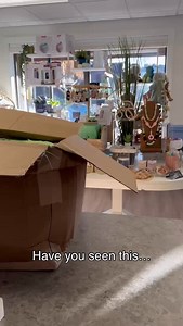 New @blessed.nest designs just arrived: Georgia Peach & the newly designed Carolina!! Stop by & grab yours today: 1911 Hillandale Rd., Ste 1010 Durham, NC 27705 #love #reels #mama #breastfeeding #durhamnc | Beyond Birth Lactation Services and Boutique | Facebook