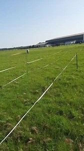 traditional circus #circusmondao #horses #ponies #circus | Circus Mondao
