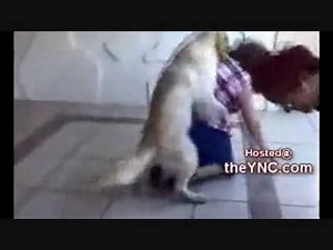 Dog humps lady