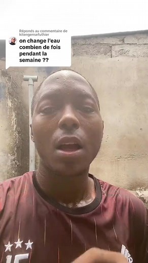 🛑 Combien de fois changer l’eau de ses poissons par jours🐟 #pisciculture #poisson | Jordan Talom enterprises