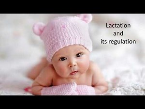 27. lactation and its regulation