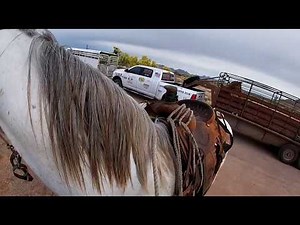 Round up at Reed Ranch (part one)