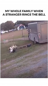 22K views · 40 reactions | Anyone else do this? #longisland #longislandfacts #longislandconnection #lifacts #longislandmeme #longislandmemes #memesoflongisland #memesofLI #longislandlaughs | Long Island Connection | Facebook