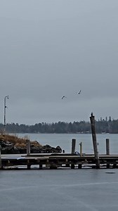 Northernaire Houseboats on Rainy Lake on Reels