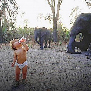 Su mejor amigo era un elefante. Corría sobre avestruces. Pero su vida cambiaría radicalmente al entrar a la escuela. Tippi Degré fue la “Mowgli de la vida real” por ser criada en la selva. Jugaba con serpientes y cachorros de leones. No le temía montarse en bestias enormes ni acercarse a cocodrilos. Aprendió a cazar antes de saber leer, pudiendo sobrevivir sola con menos de 10 años. Sin embargo, la vida salvaje pronto llegaría a su fin. Intentaron civilizarla. Un error que le costaría su felicid