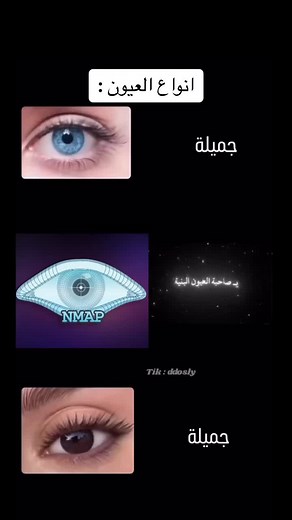 أنواع العيون وأسرارها في البرمجة