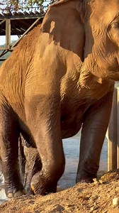 1.5K views · 355 reactions | A beautiful sunset over the ENP river ...