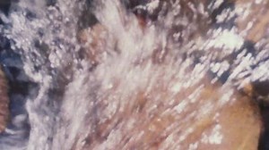 Watch Stream Line - BFI Player