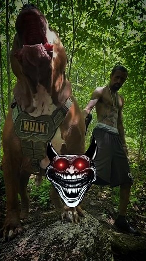 ALL' dog's COLLORS " #ekmotahathighumechala #anim #pitbull #animals