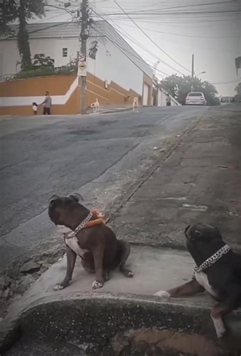 3.3M views · 10K reactions | ⭕ Вот что значит когда у тебя характер бойца!  壘 | UFSC Moldova | Facebook