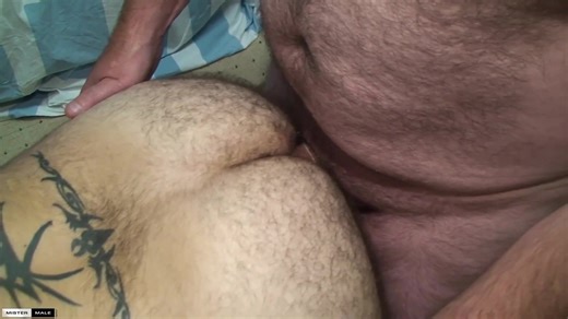 MisterMale Triga - Bugger Bears - Extra Beef - Vicious games between chubby gays