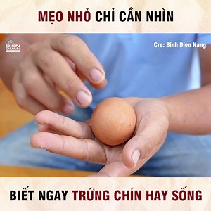 Phân biệt trứng sống hay trứng chín trong một nốt nhạc --- Bản quyền thuộc về Binh Dien Nang, được quản lý bởi Điền Quân Group #DienQuanNetwork #BinhDienNang | DIEN QUAN Network