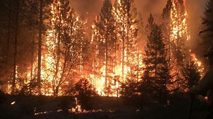 Impacts of Climate Change on Wildfires