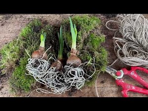 How to make a Spring Wreath