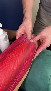 25K views · 346 reactions | Follow along with Dr. Mike to learn how...