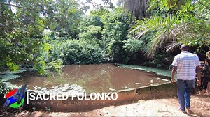 46 reactions · 20 shares | On the seaward edge of Kartong, near the...