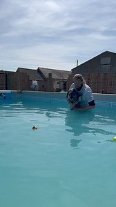 Swimming schnauzer 🐾💕💦 | Canine Dip and Dive Maldon