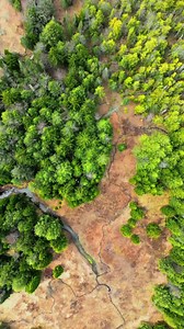 Canaan Valley Resort on Reels