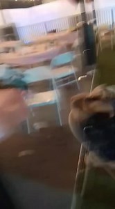 4.7K views · 42 reactions |  Mexicali y sus “sorpresas”: Cámara...