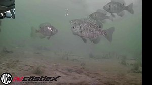 LIVE Fishing! www.wolfrivercam.com https://www.castlesales.com | Wolf River Cam