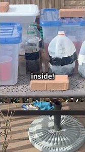 Winter Sowing: The Shockingly Easy Way to Sow Seeds Outside! #garden #gardeningmadeeasy